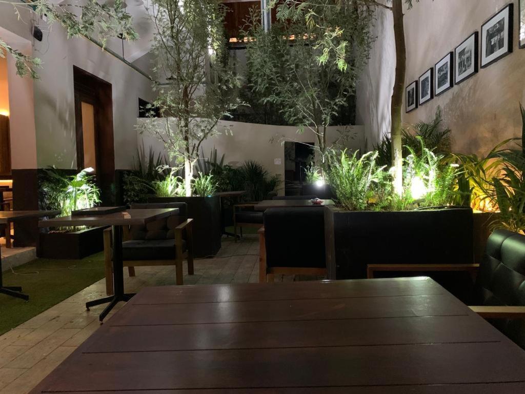 Frontera 49 Roma Norte Hostal Mexico by Eksteriør bilde